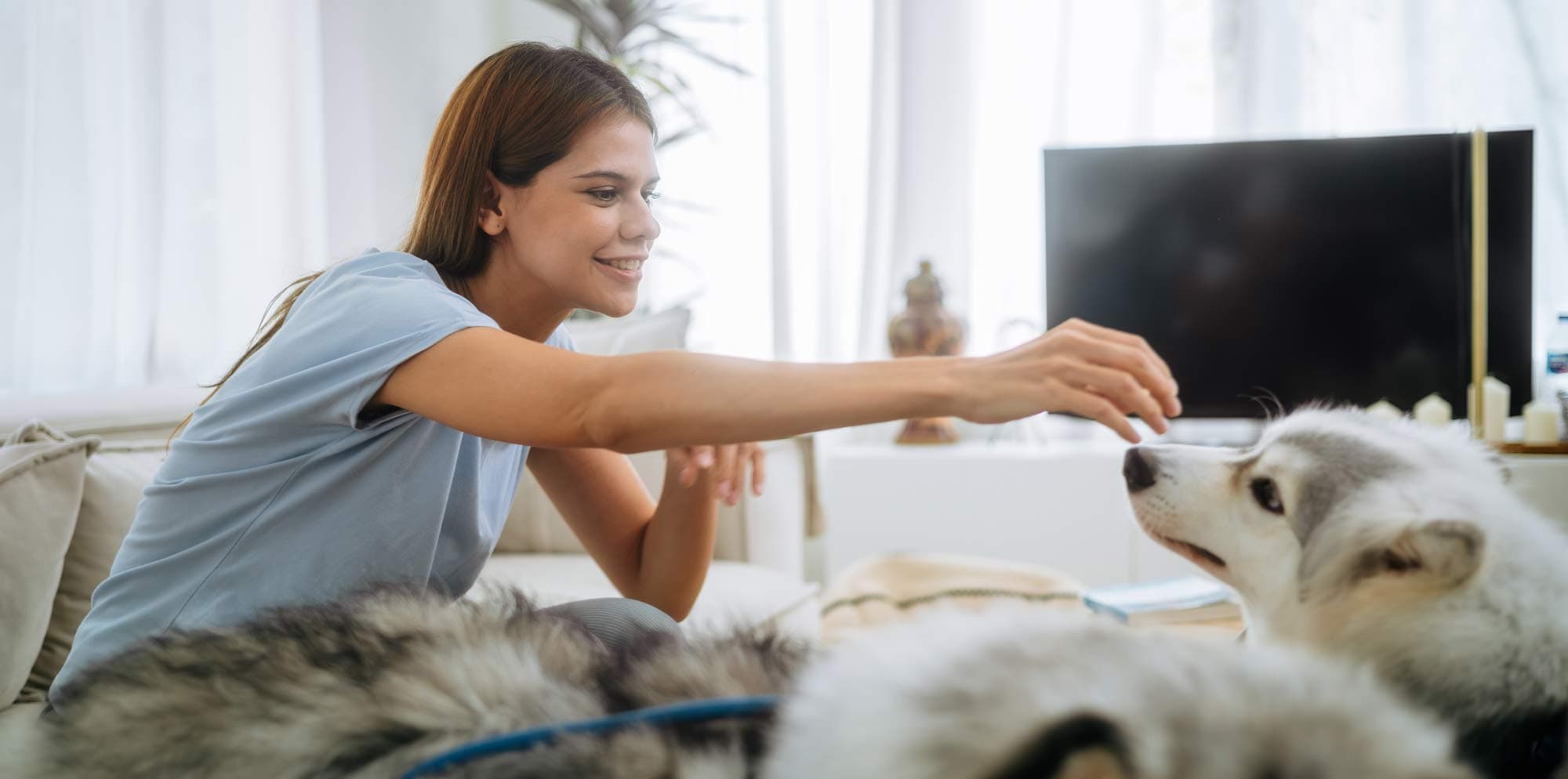 Pet Sitter Pricing Guide: What to Charge in Every Situation