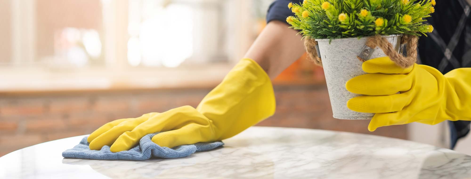 Independent Cleaner vs Cleaning Agency: The Real Cost Comparison