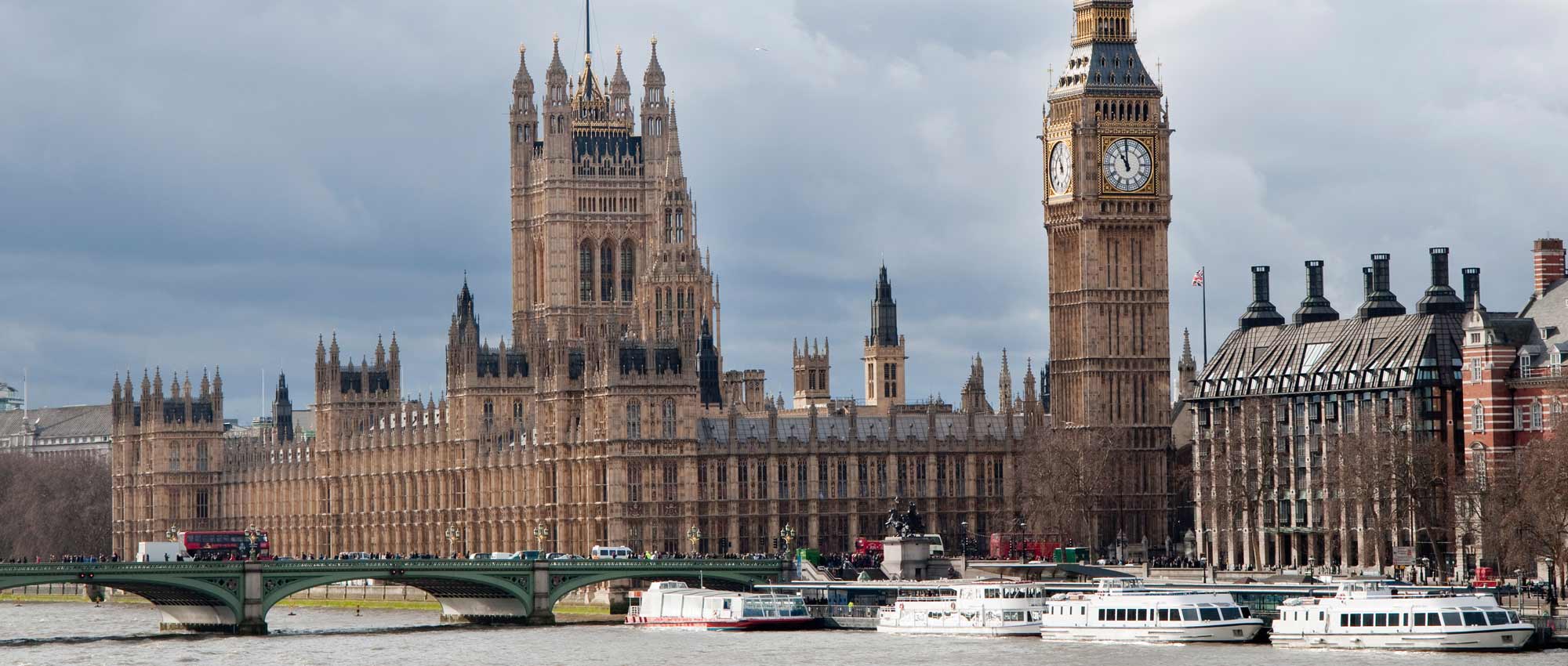What Pet Sitters Actually Cost in London: The Complete Guide You Need