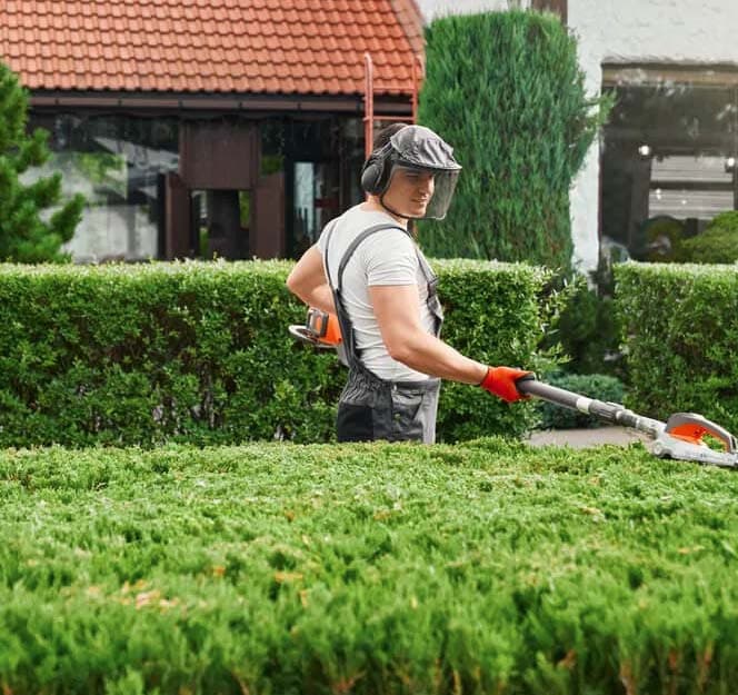 leicestertreeservices